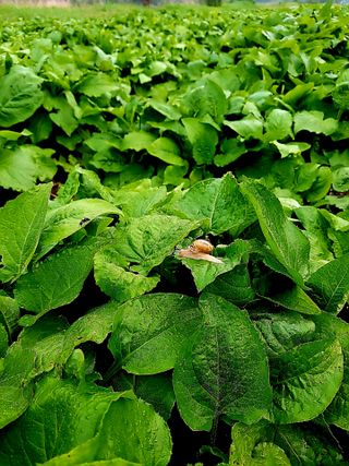 임석진님의 작성글 사진