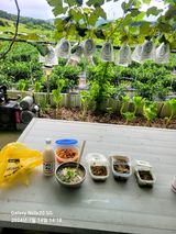 팜모닝 자유주제·자유게시판 게시글 이미지