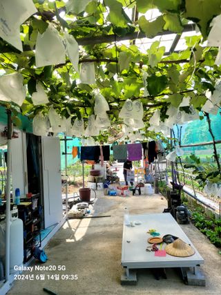 제일시스템님의 자유주제 · 자유게시판 작성글 사진