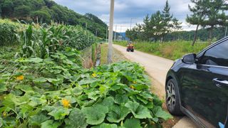 시골할머니농부박순열님의 자유주제 · 자유게시판 작성글 사진