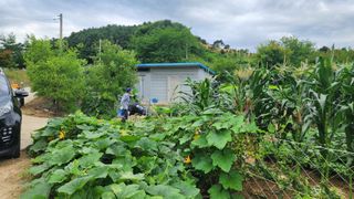 시골할머니농부박순열님의 자유주제 · 자유게시판 작성글 사진