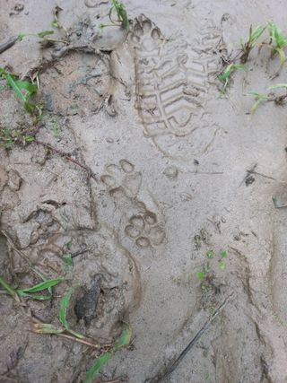 표고버섯18837님의 자유주제 · 자유게시판 작성글 사진