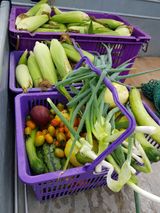 팜모닝 자유주제·자유게시판 게시글 이미지