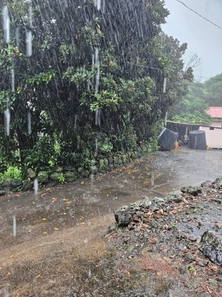 새달귤농장님의 자유주제 · 자유게시판 작성글 사진