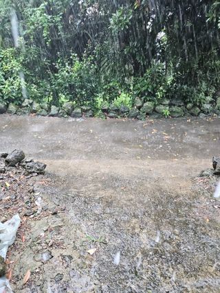 새달귤농장님의 자유주제 · 자유게시판 작성글 사진