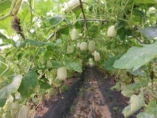 채정식님의 자유주제 · 자유게시판 작성글 사진