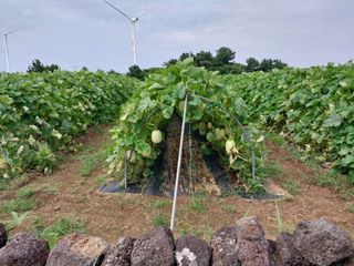 채정식님의 자유주제 · 자유게시판 작성글 사진