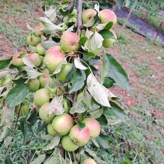 bpjh9173님의 자유주제 · 자유게시판 작성글 사진