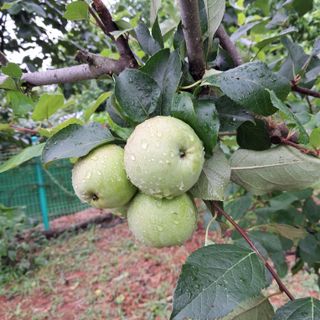 bpjh9173님의 자유주제 · 자유게시판 작성글 사진