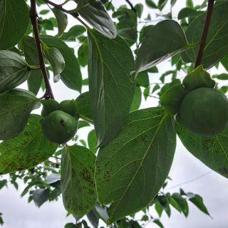 bpjh9173님의 자유주제 · 자유게시판 작성글 사진