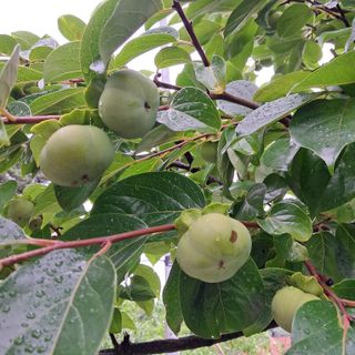 bpjh9173님의 자유주제 · 자유게시판 작성글 사진