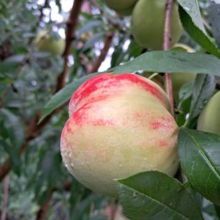 bpjh9173님의 자유주제 · 자유게시판 작성글 사진