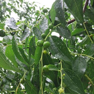 bpjh9173님의 자유주제 · 자유게시판 작성글 사진