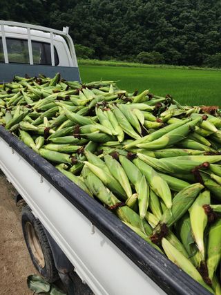 우현님의 작성글 사진