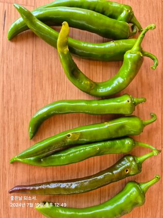 김진님의 자유주제 · 자유게시판 작성글 사진