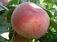 김명옥님의 작성글 사진