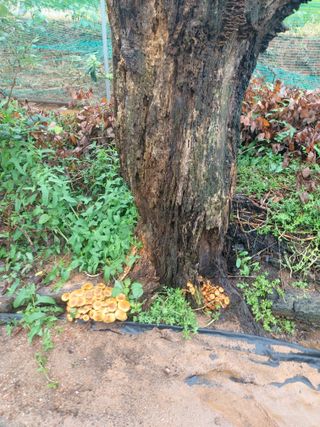 베리맘님의 자유주제 · 자유게시판 작성글 사진