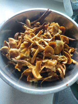 베리맘님의 자유주제 · 자유게시판 작성글 사진