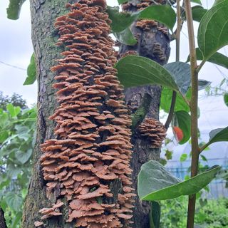 bpjh9173님의 자유주제 · 자유게시판 작성글 사진