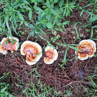 bpjh9173님의 자유주제 · 자유게시판 작성글 사진