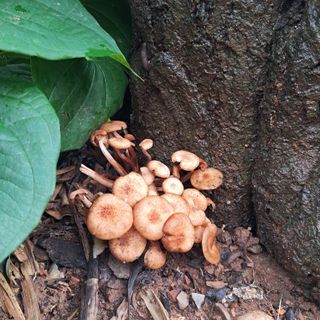 bpjh9173님의 자유주제 · 자유게시판 작성글 사진