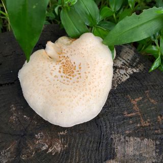 bpjh9173님의 자유주제 · 자유게시판 작성글 사진