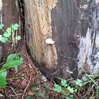 bpjh9173님의 자유주제 · 자유게시판 작성글 사진