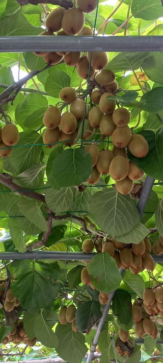 이성민님의 자유주제 · 자유게시판 작성글 사진