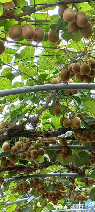 이성민님의 자유주제 · 자유게시판 작성글 사진