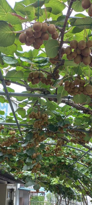 이성민님의 자유주제 · 자유게시판 작성글 사진