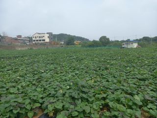 Happy100w님의 자유주제 · 자유게시판 작성글 사진