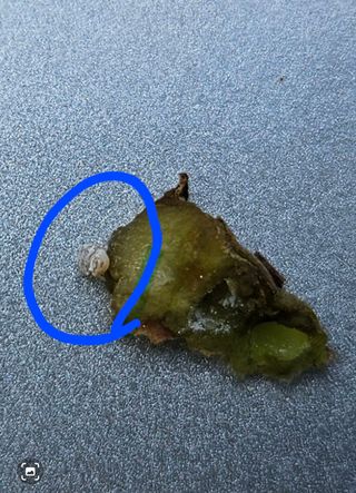 홍창표님의 기타작물 · 영농일지 작성글 사진