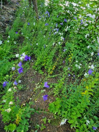 김용대님의 자유주제 · 자유게시판 작성글 사진