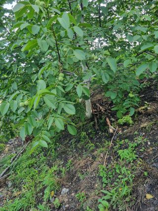 김용대님의 자유주제 · 자유게시판 작성글 사진