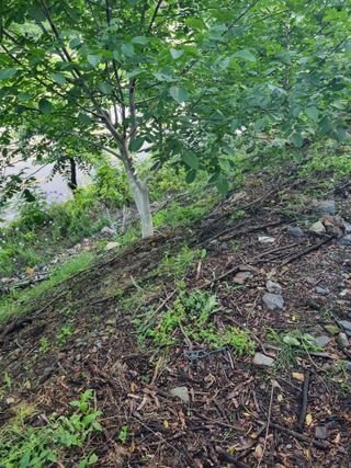 김용대님의 자유주제 · 자유게시판 작성글 사진