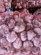 팜모닝 · 게시글 이미지