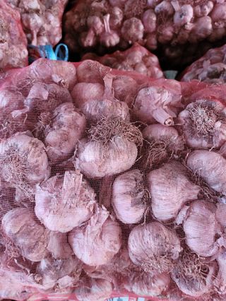 인도공주님의 작성글 사진