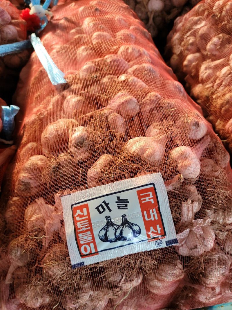 인도공주님의 장터 판매 상품 [창녕마늘 20키로  중.소(6cm미만)판매종료] 첨부 사진