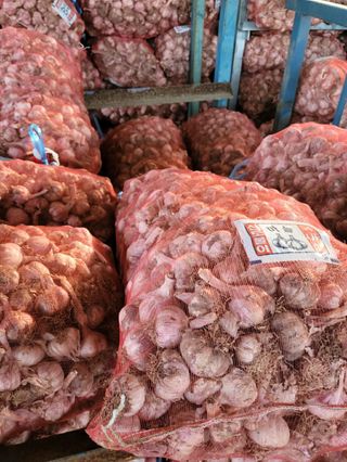 인도공주님의 작성글 사진