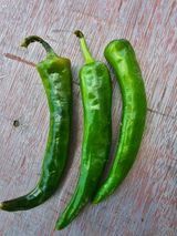 팜모닝 고추·비료•농약 게시글 이미지