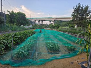 알 수 없음님의 자유주제 · 자유게시판 작성글 사진
