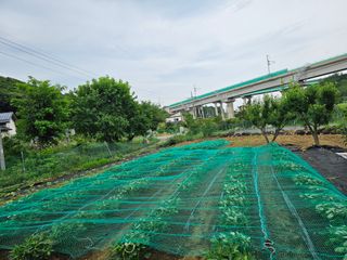 알 수 없음님의 자유주제 · 자유게시판 작성글 사진