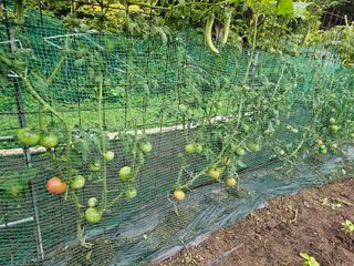 알 수 없음님의 자유주제 · 자유게시판 작성글 사진