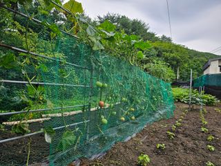 알 수 없음님의 자유주제 · 자유게시판 작성글 사진