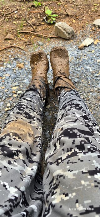 황둔얼렁뚱땅체리농부님의 호박 · 자유게시판 작성글 사진