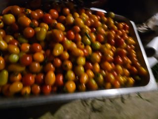 남옥선님의 자유주제 · 자유게시판 작성글 사진