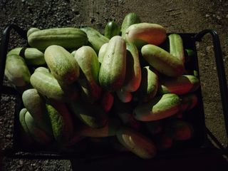 남옥선님의 자유주제 · 자유게시판 작성글 사진