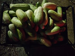 남옥선님의 자유주제 · 자유게시판 작성글 사진