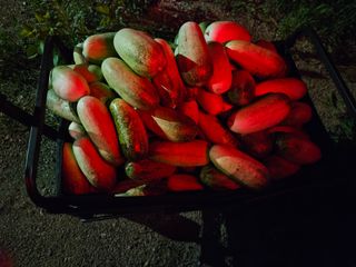 남옥선님의 자유주제 · 자유게시판 작성글 사진