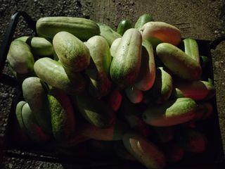 남옥선님의 자유주제 · 자유게시판 작성글 사진